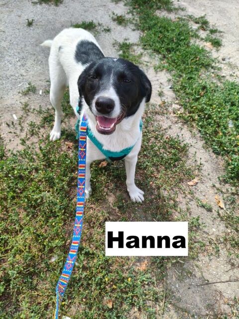 HANNA SE TROUVE EN FAMILLE D'ACCUEIL PARIS 18 RESERVEE 0 75018 Paris