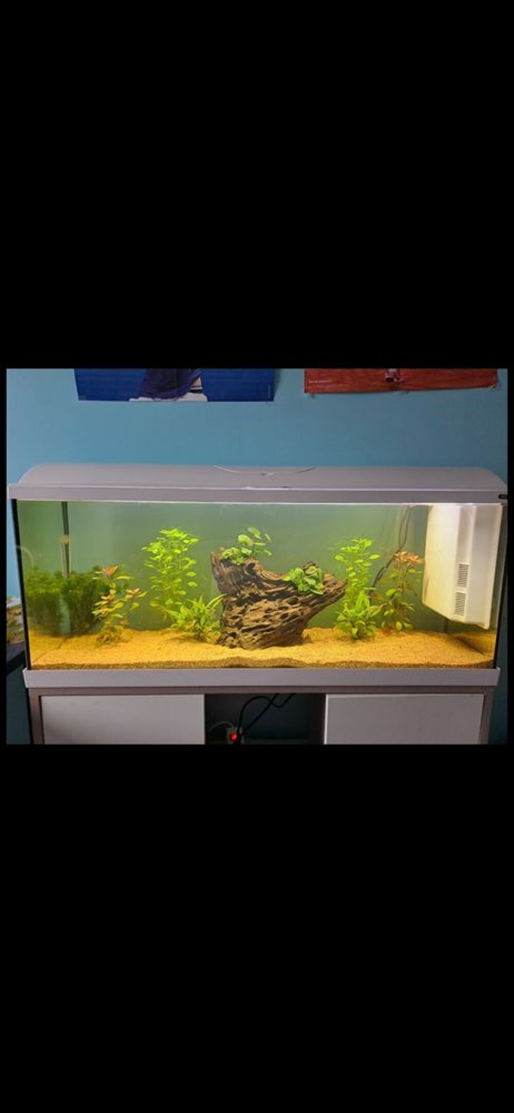   Aquarium zoolux iseo 100 litre tout équipé avec meuble  