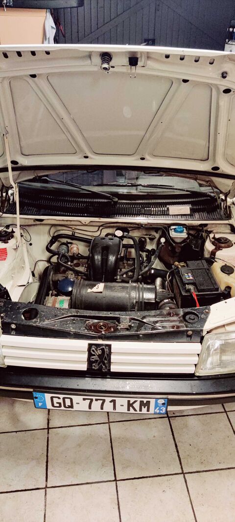 Peugeot 205 multi gruau