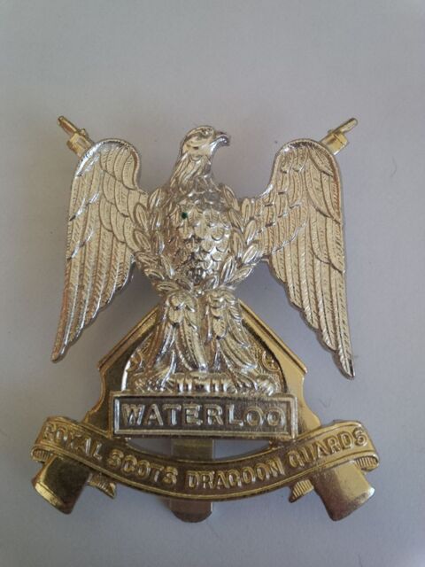 Insigne militaire pour collectionneur 6. 19 Le Pecq (78)