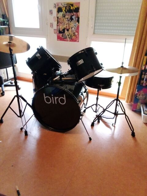 Batterie dbutant BIRD 450 Amiens (80)