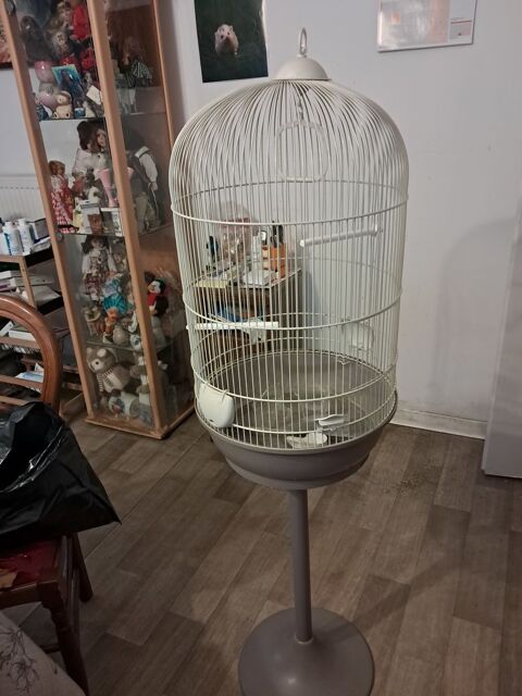 Cage ronde m&eacute;tallis&eacute;e avec pied plastique adapte 40 59155 Faches-thumesnil