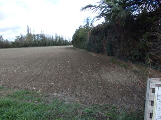  Terrain � vendre 505 m� Mondragon