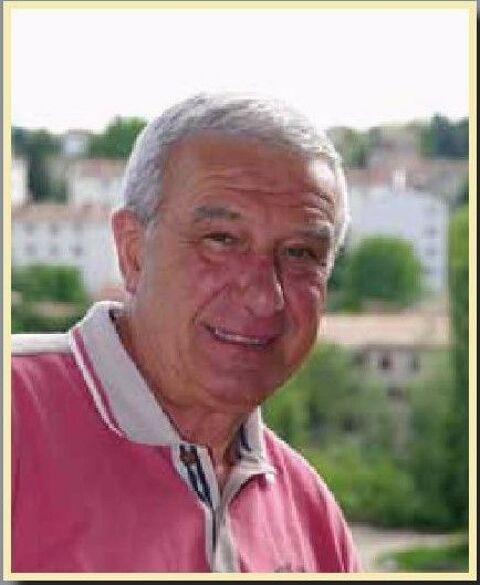 Mercedes Classe E 220 CDI Avantgarde A 2007 occasion Manosque 04100