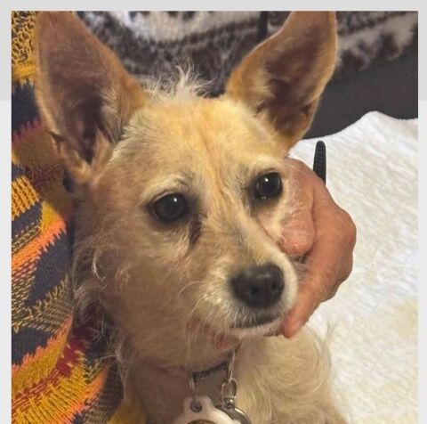 LAIKA 300 27620 Gasny