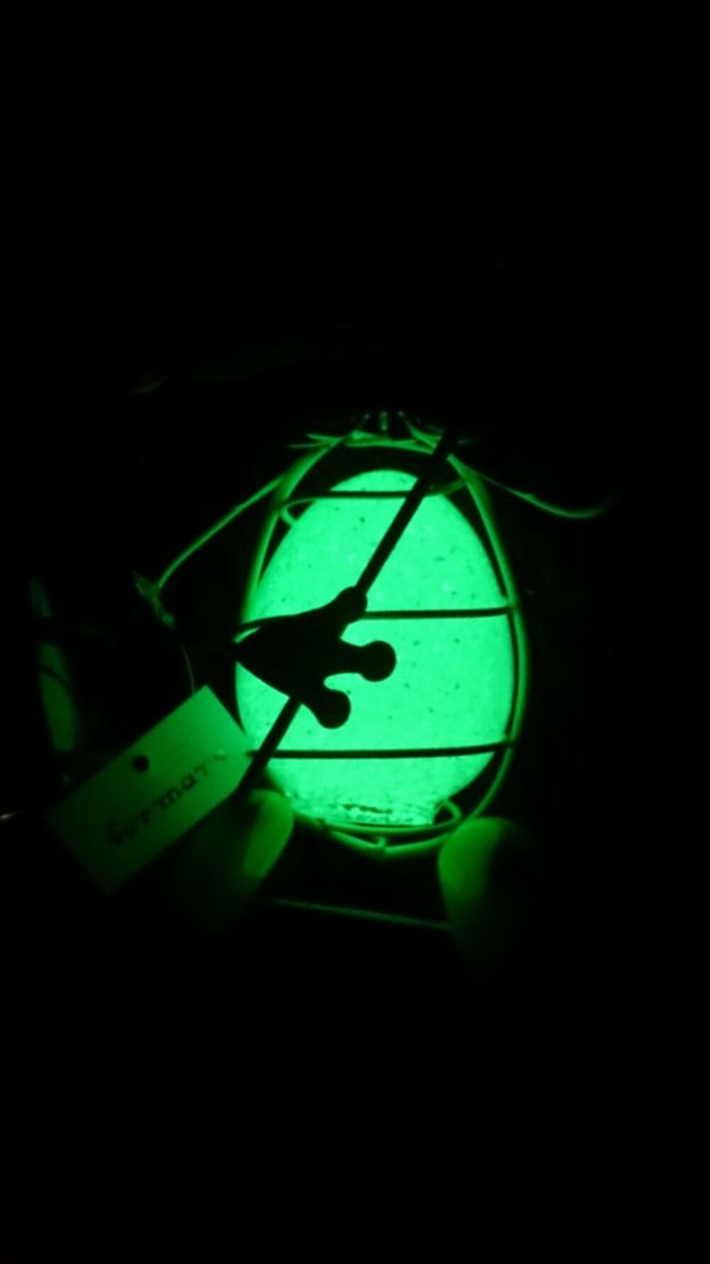 4 Pluviom&egrave;tre motif Grenouille fluorescent acier H 117 cm FO Jardin