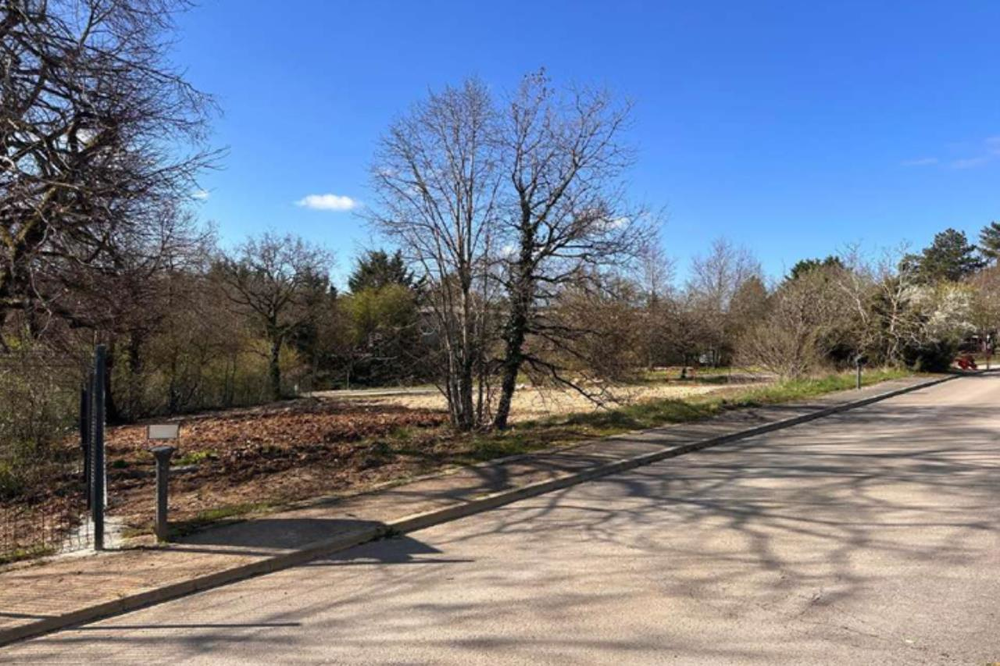 vente Terrain Messigny-et-Vantoux (21380)