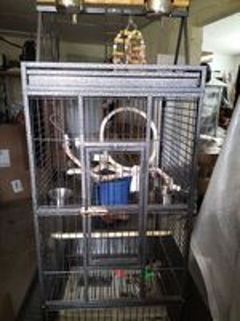   cage a perroquet  