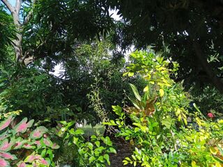 Location  Chambre privée 