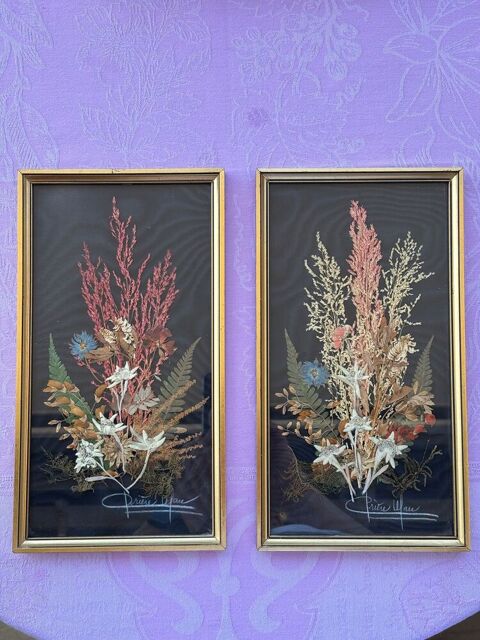 Tableau Herbier Saint-Maur-des-Fossés (94)