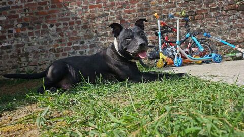 Paco 330 59200 Tourcoing