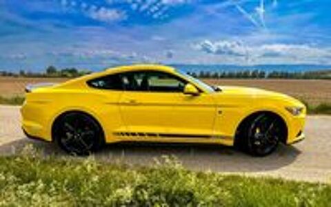 Mustang Fastback 2.3 EcoBoost 317 2016 occasion 26800 Portes-l&egrave;s-Valence