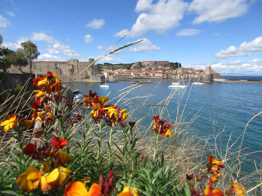   T2 vue sur mer, sur les hauteurs de Collioure Languedoc-Roussillon, Collioure (66190)
