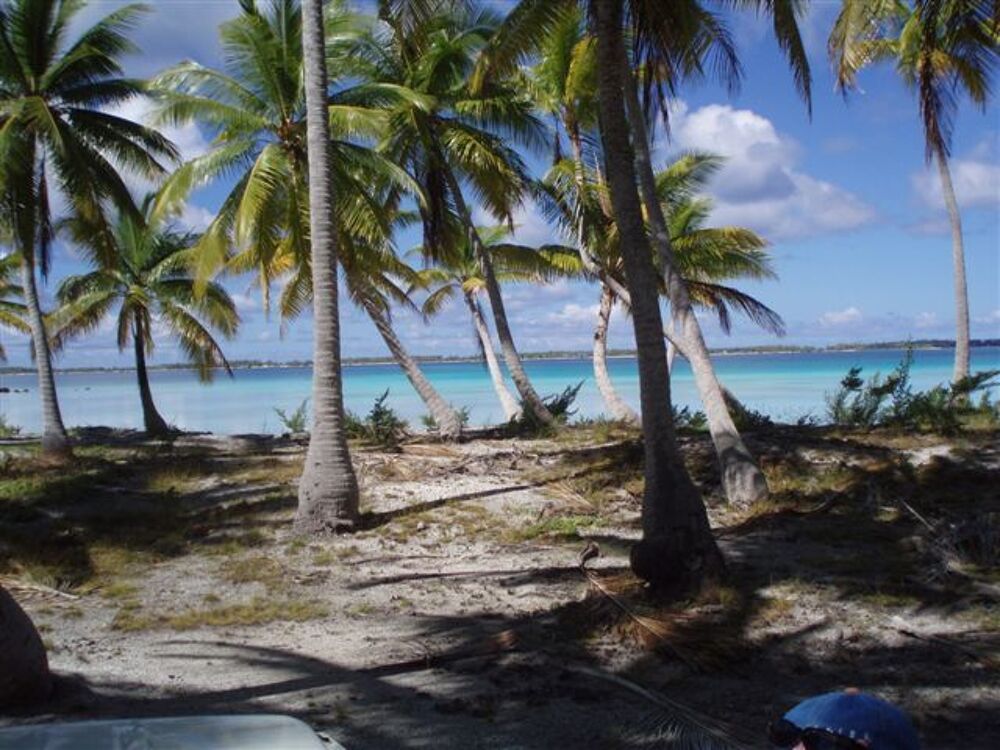 Vente Terrain TAHITI dans les TUAMOTU TERRAIN CONSTRUCTIBLE Polynésie française