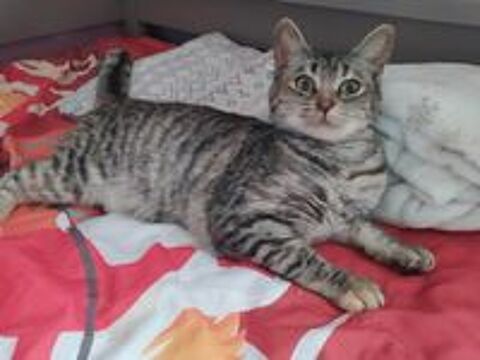   Tsarine attend une famille � elle ! 