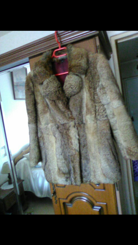 Une Veste Lapin 100 Floirac (33)