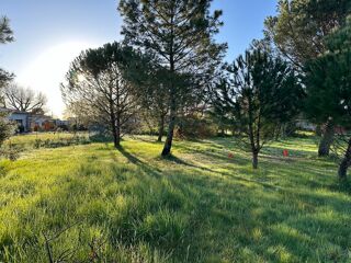  Terrain à vendre 585 m² Fronton