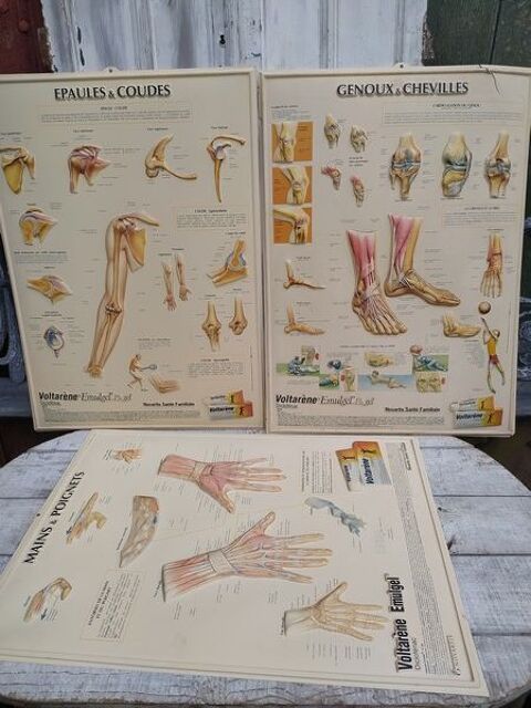 Anciennes Affiches PLV Publicit Pharmacie Curiosit 
80 Loches (37)