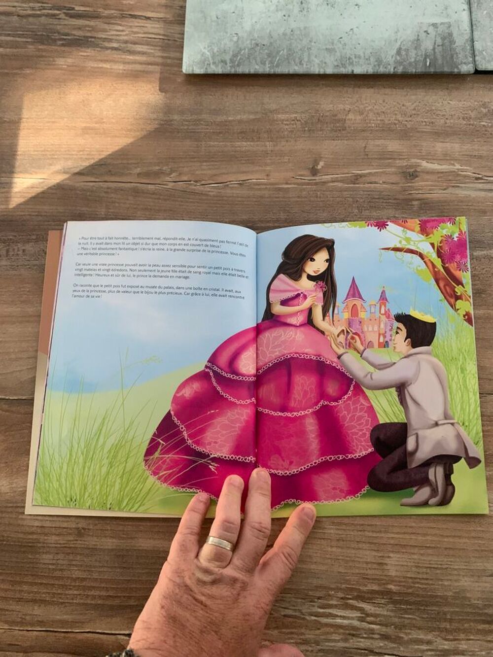 Livre enfant " Mes contes de Princesses " Livres et BD
