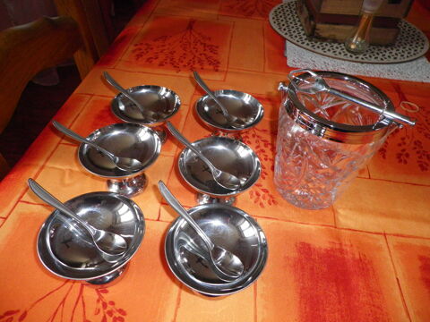 Coupes a glace/seau 15 Dijon (21)