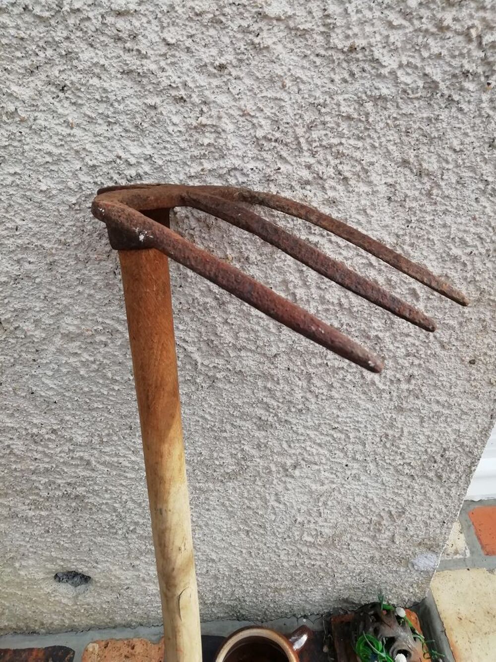 arrache pomme de terre Jardin