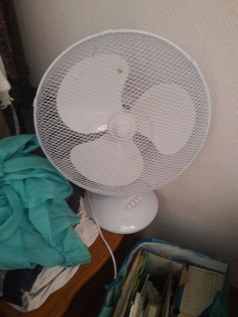 Ventilateur 10 Brissarthe (49)