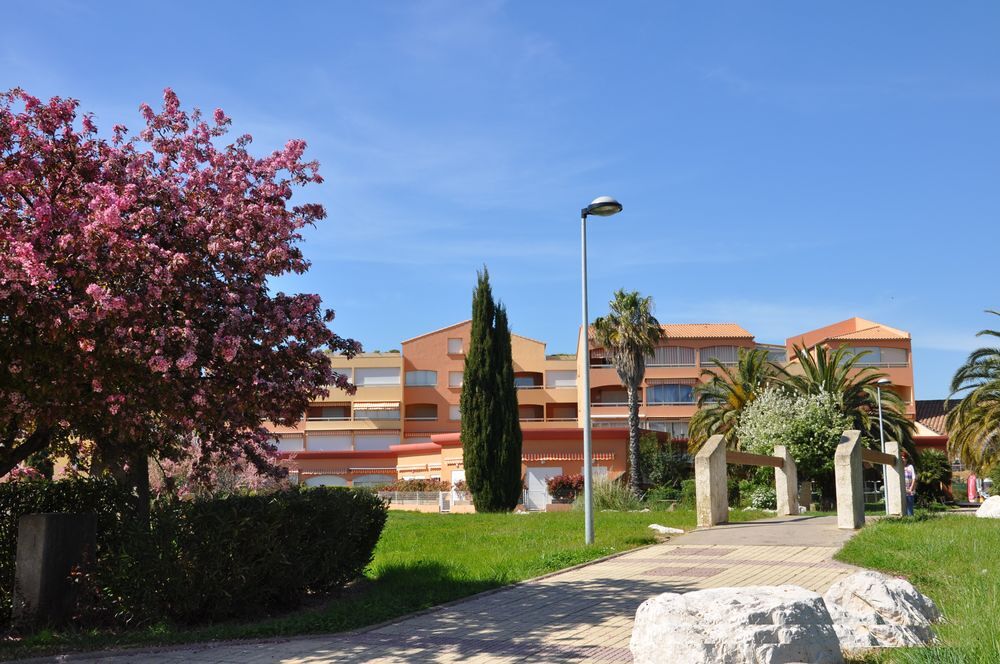   TRES BELLE VUE MER ET ILE DE PORQUEROLLES Provence-Alpes-Côte d'Azur, La Londe-les-Maures (83250)