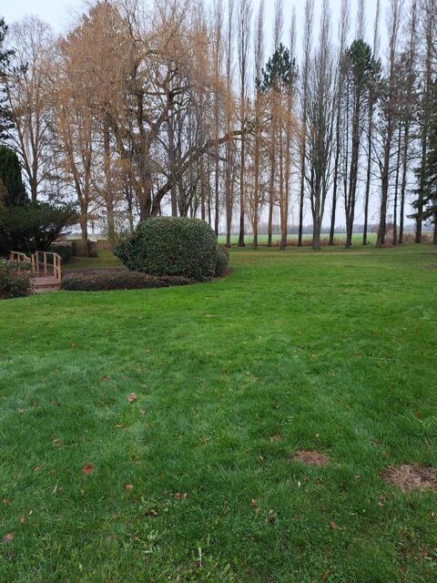 Tonte pelouse d&eacute;broussaillage taille de haies  0 62400 B�thune