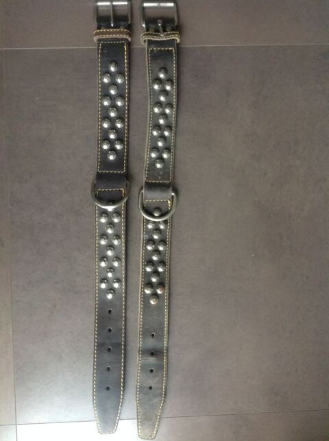 Collier cousu et clout pour mastif 13990 Fontvieille