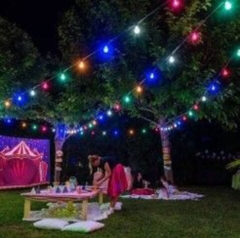 Guirlande lumineuse pour fêtes pour l'intérieur/extérieur 80 Hésingue (68)