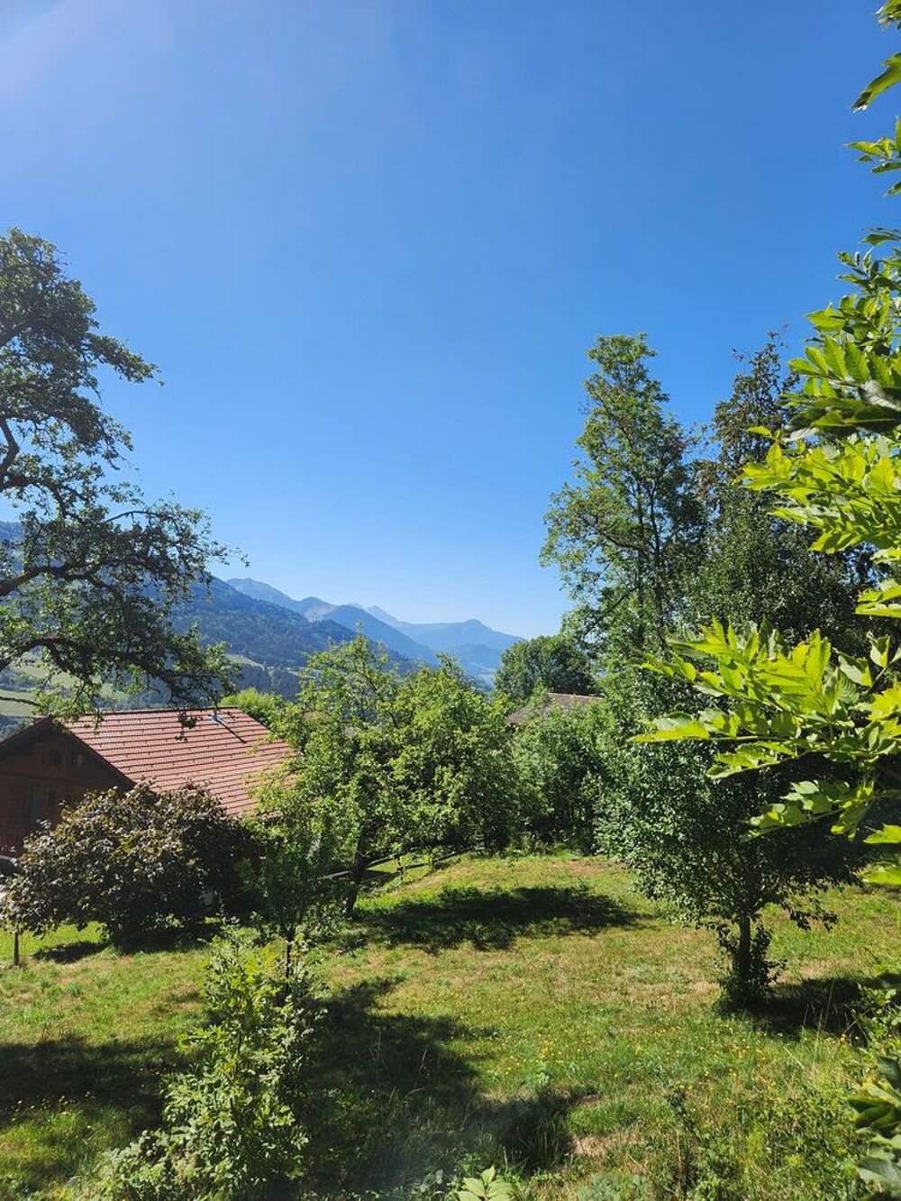 Vente Terrain Terrain constructible de 750 m² à Bogève Bogève