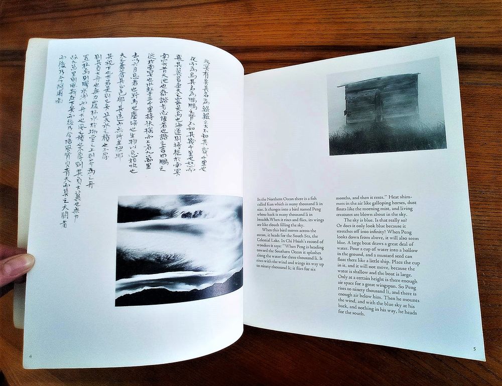 CHUANG TSU Inner Chapters Livres et BD