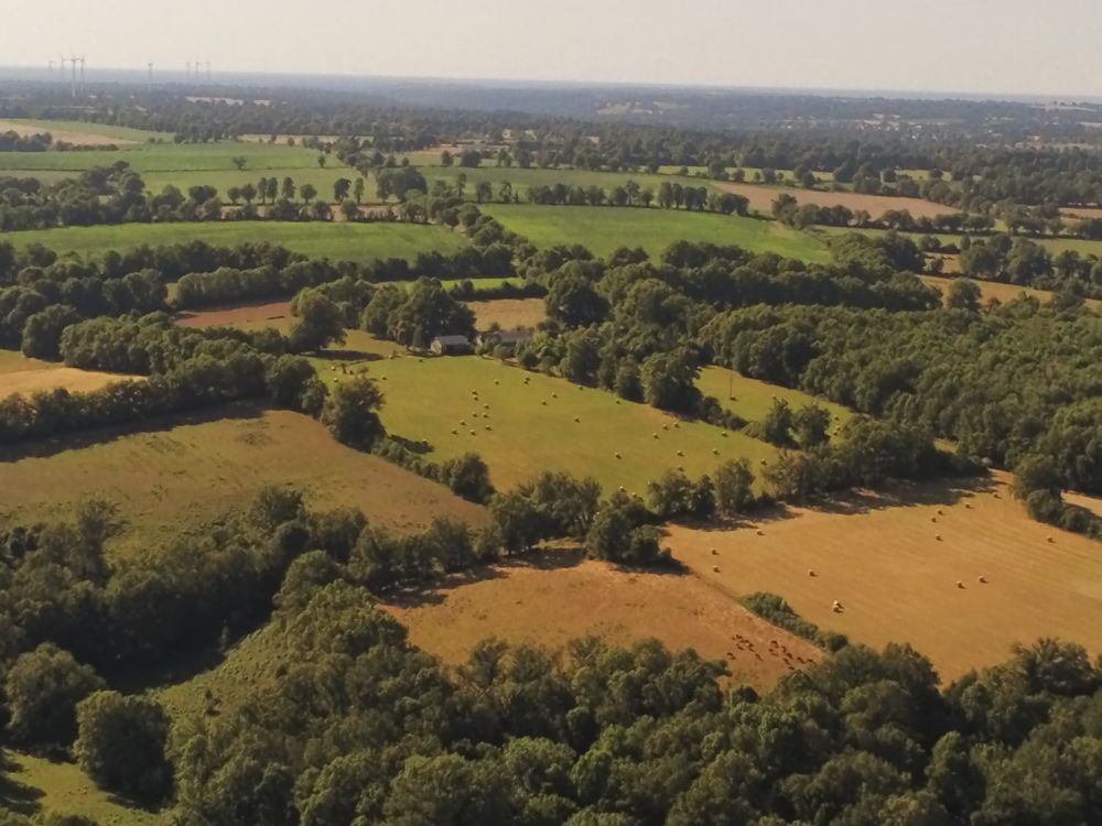 Vente Ferme Ferme bio - Élevage allaitant de sélection limousine - 94Ha Bussière-poitevine