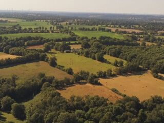 Vente Ferme Ferme bio - Élevage allaitant de sélection limousine - 94Ha Bussière-poitevine