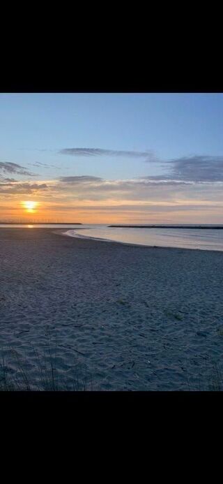  Appartement � louer 2/3 pi�ces 35 m� Palavas-les-flots