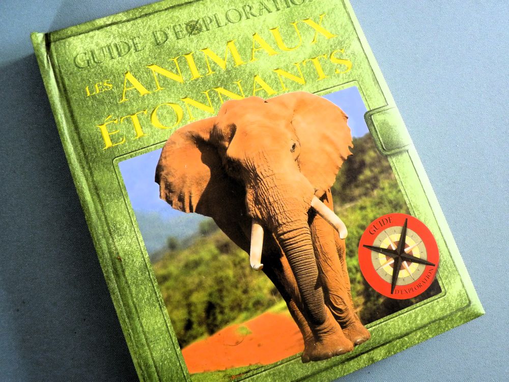 Livre Guide d'exploration " Les animaux &eacute;tonnants " enfant P Livres et BD