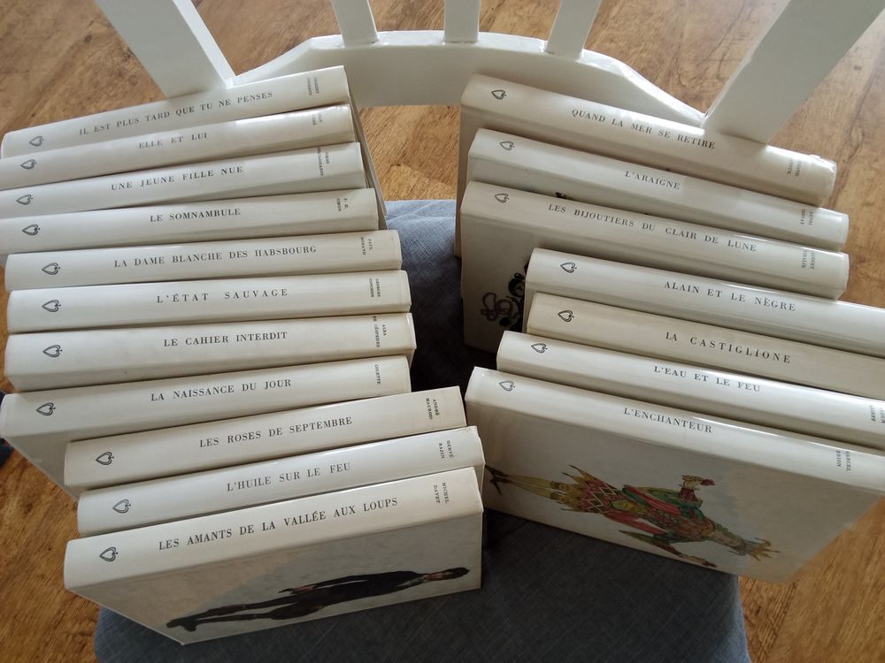 Livres diff&eacute;rents auteurs Livres et BD