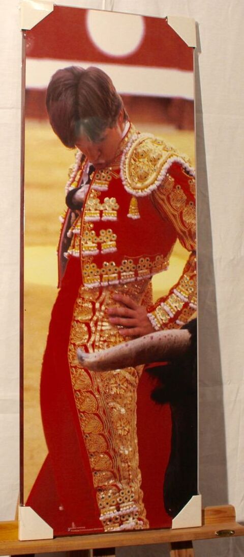 TAUROMACHIE  :     EL  JULI    42 Anglet (64)