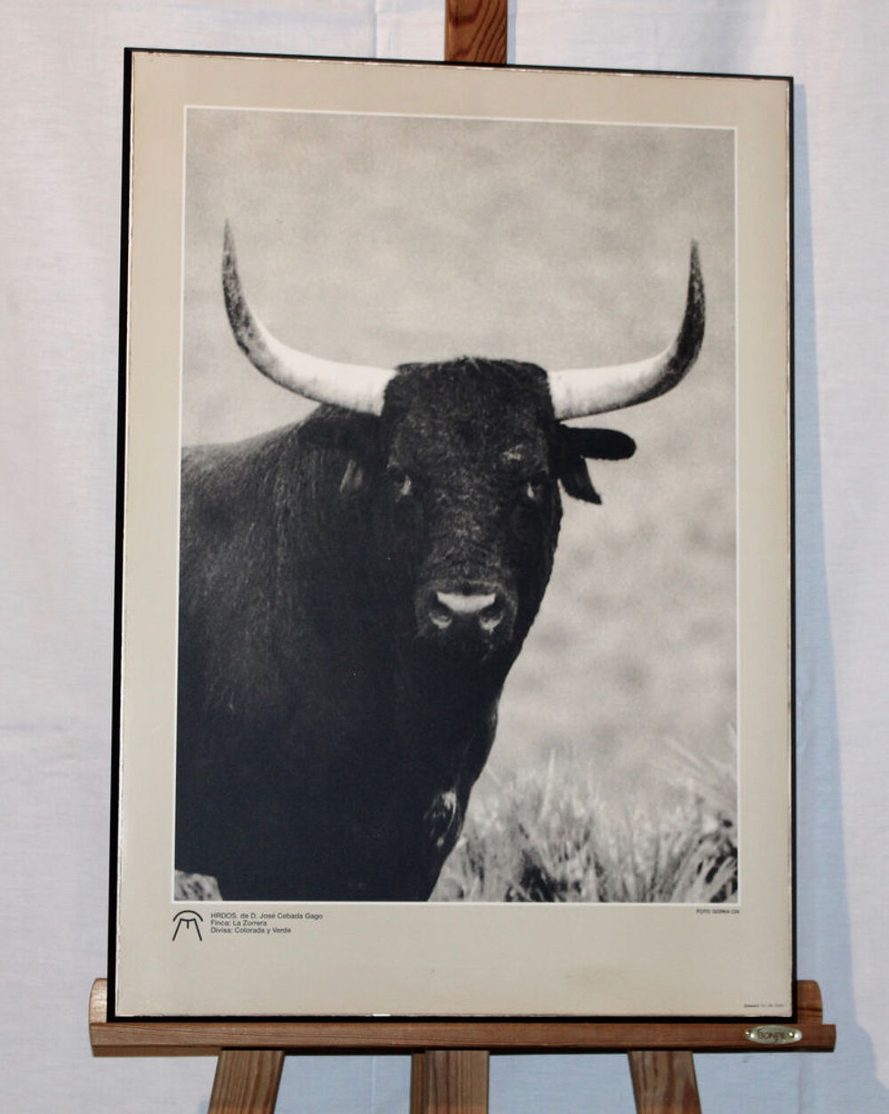 "TORO CEBADA - GAGO " Décoration