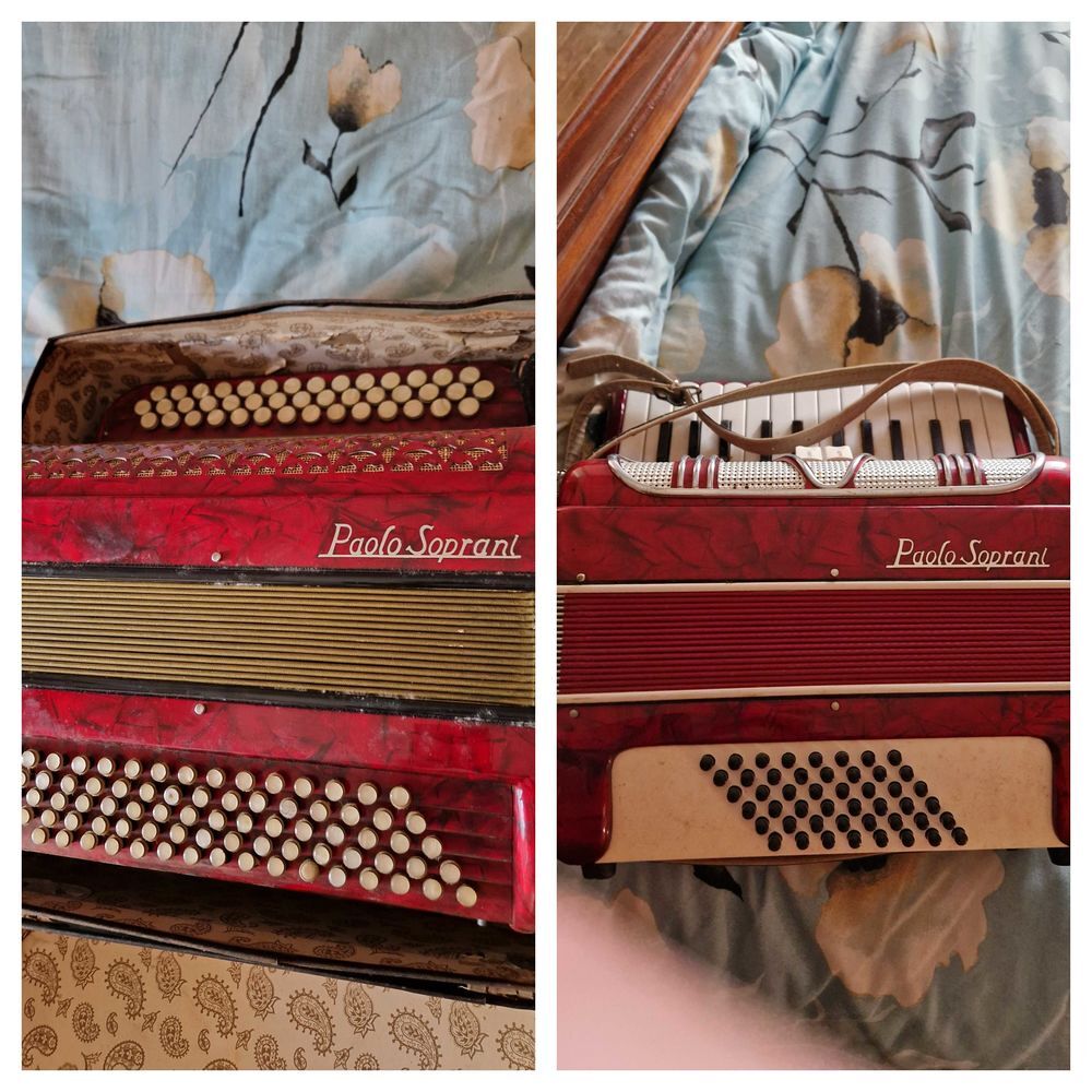 Accord&eacute;ons Instruments de musique