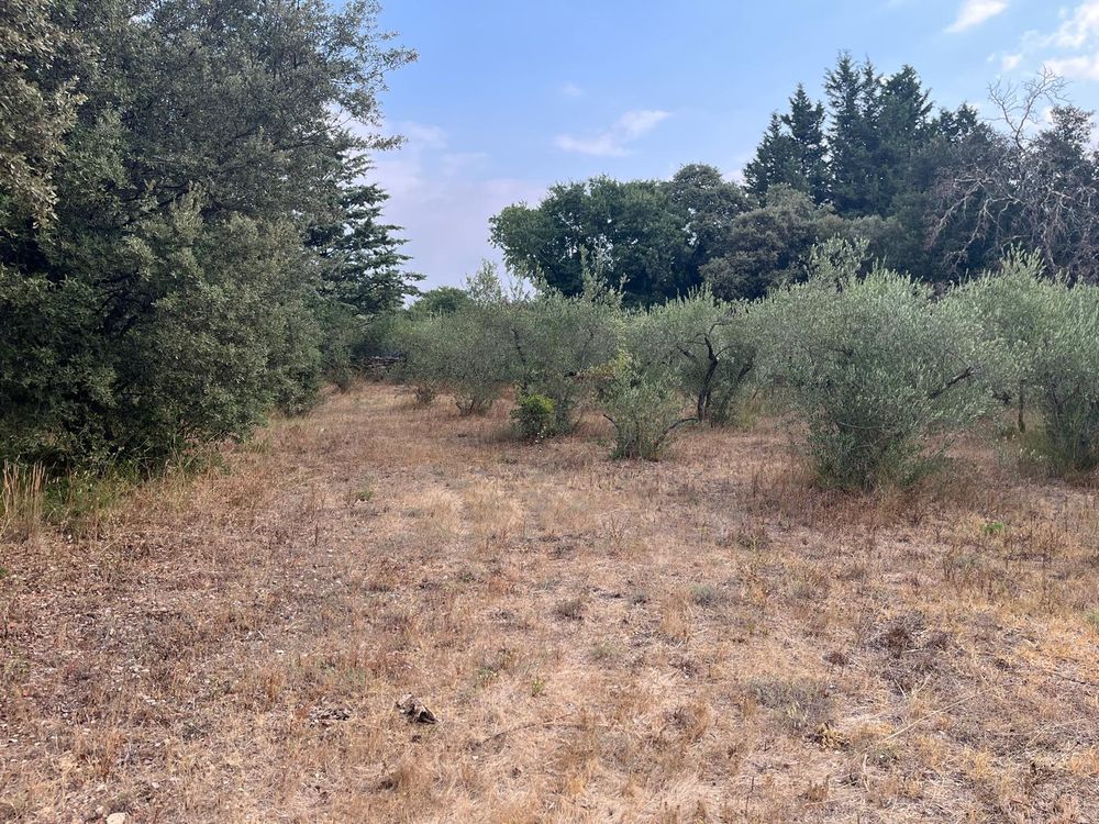 Vente Terrain Gard - Grand Terrain constructible HORS lotissement Villevieille