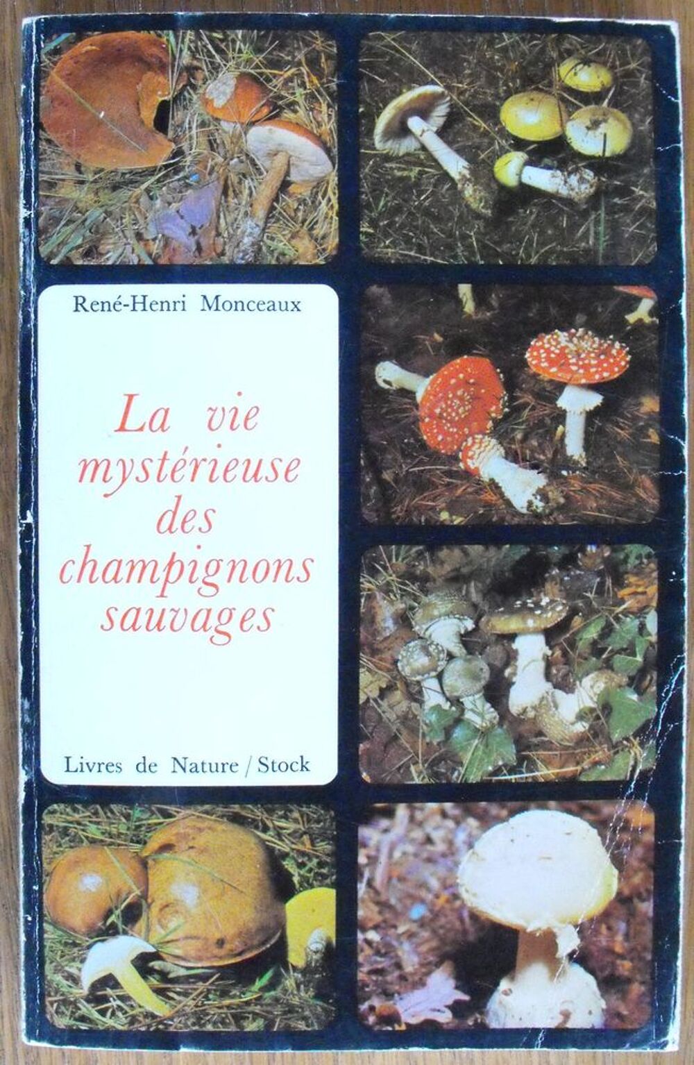 La vie myst&eacute;rieuse des champignons sauvages Livres et BD