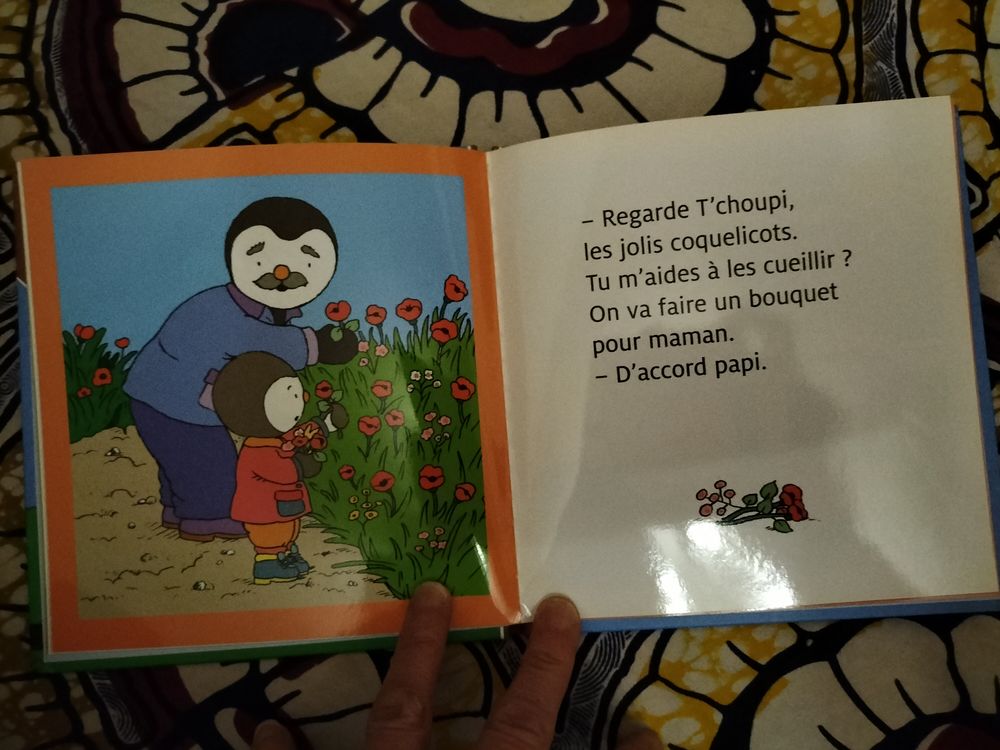 T'choupi part en pique-nique Livres et BD
