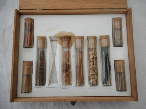 Coffret d'pices 15 Nieuil-l'Espoir (86)