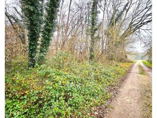  Terrain � vendre 4145 m�