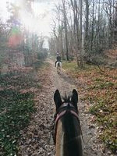   Balade à cheval  