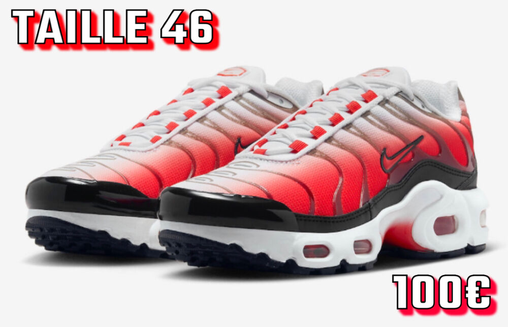 AIR MAX TN TAILLE 46 ? Chaussures