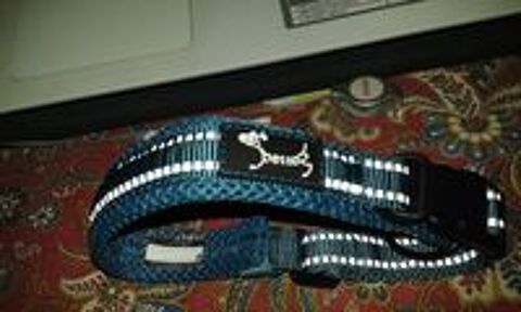   collier petit chien 