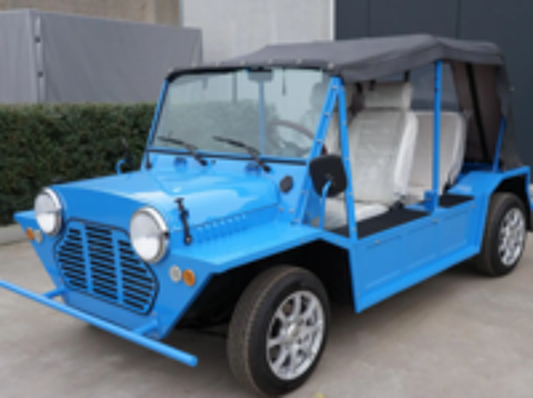 Autres Austin Mini Moke electrique 2016 occasion 75008 Paris