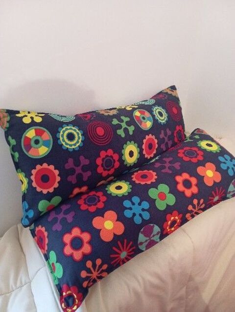 2 coussins rectangulaires non d�houssable 12 Rouen (76)